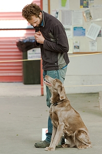 Non Dogs NZ members can participate in NZKC Rally-O. Image supplied by Animals in Action