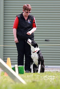 Qualified judges officiate at NZKC Rally-O events. Image supplied by A Dozen Dogs